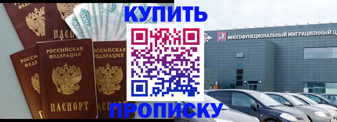 прописка штамп в Чкаловске